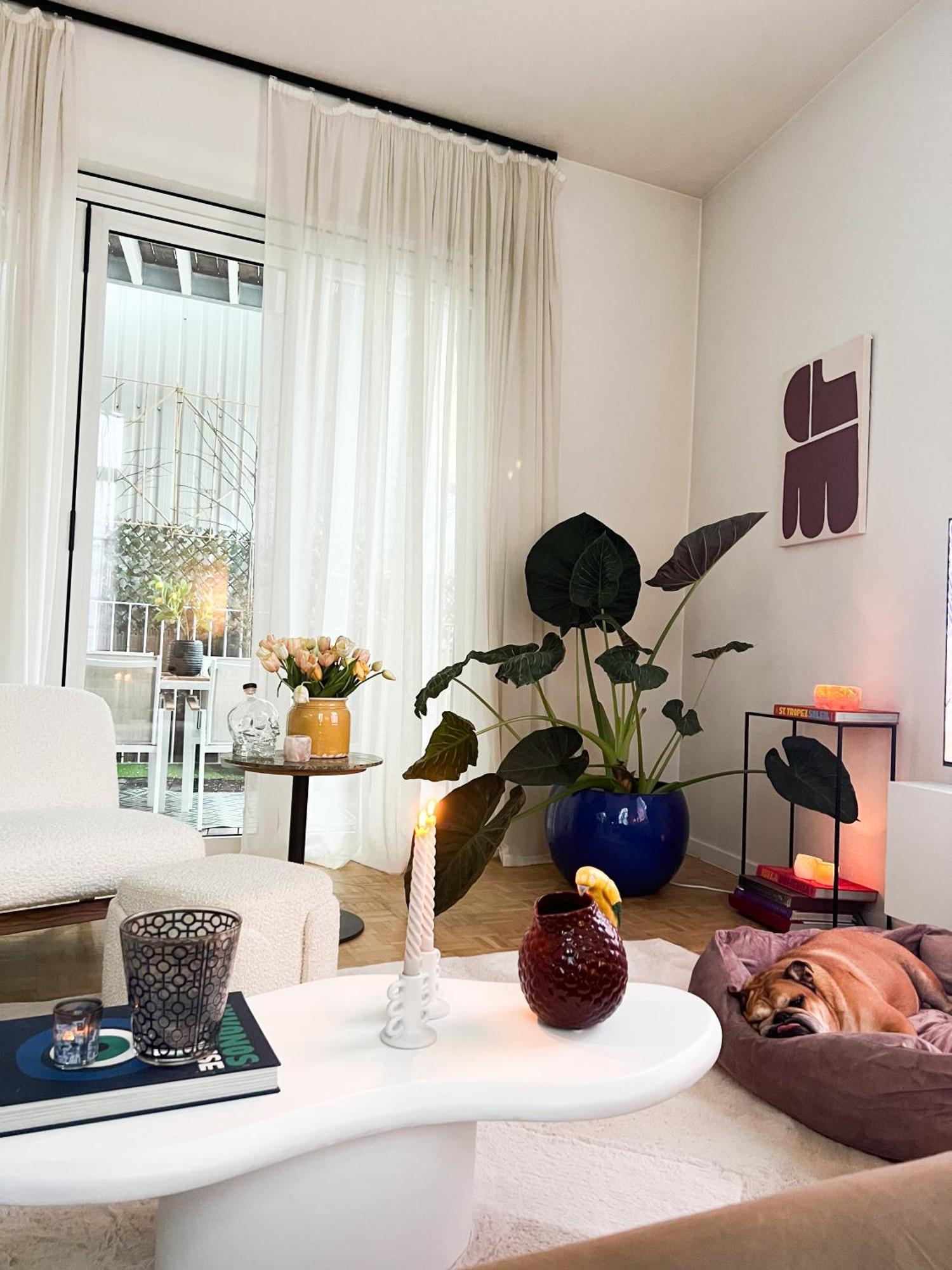 Appartement Luxueuze Penthouse In Historisch Centrum *